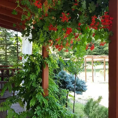 Malinowa Dolina Appartement