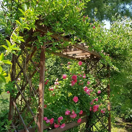 Malinowa Dolina Appartement *