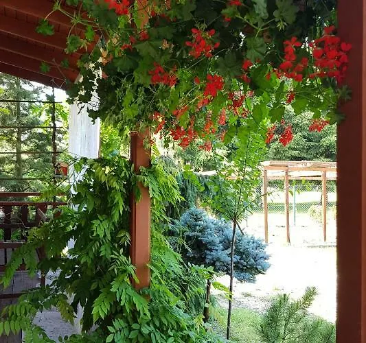 Malinowa Dolina Appartement