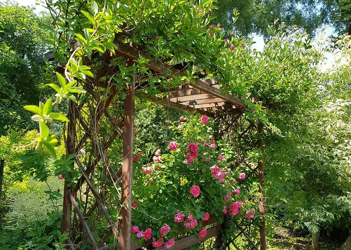 Malinowa Dolina Appartement *